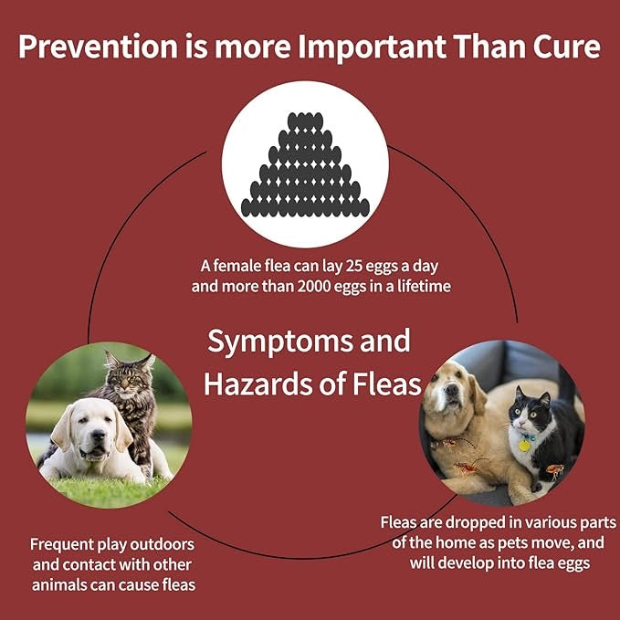Flea Tick Lice Mosquito Sarcoptic Mange Drop