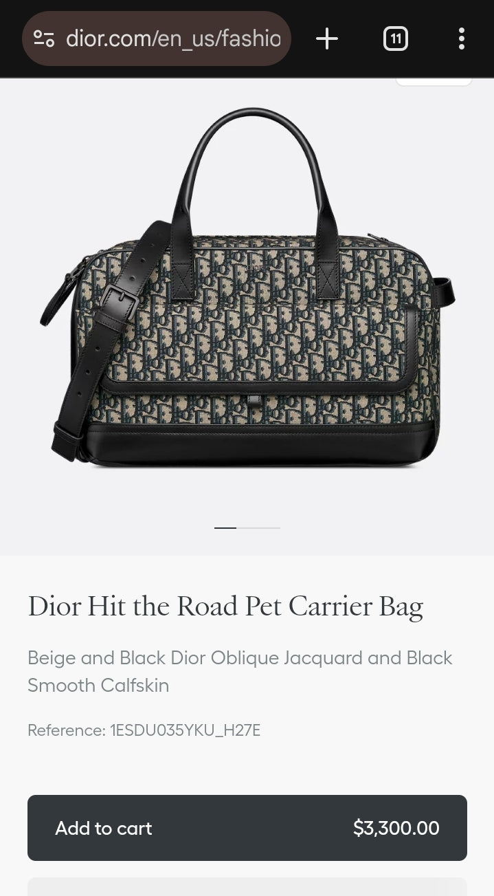 CD Style Airplane Approved Carrier