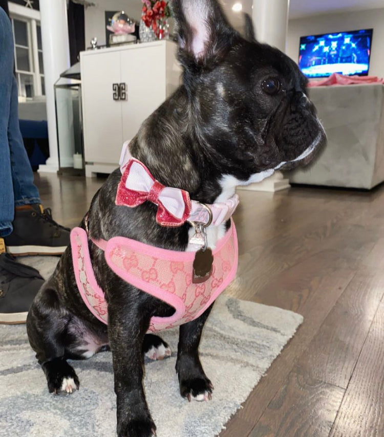 Designer Cat Dog Harness and Leash Set