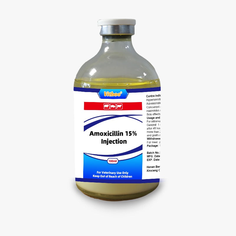 Amoxicillin 100ml