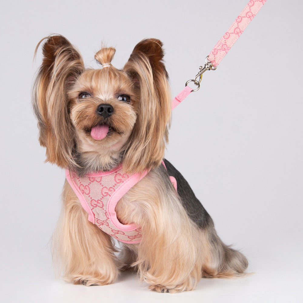 Designer Cat Dog Harness and Leash Set