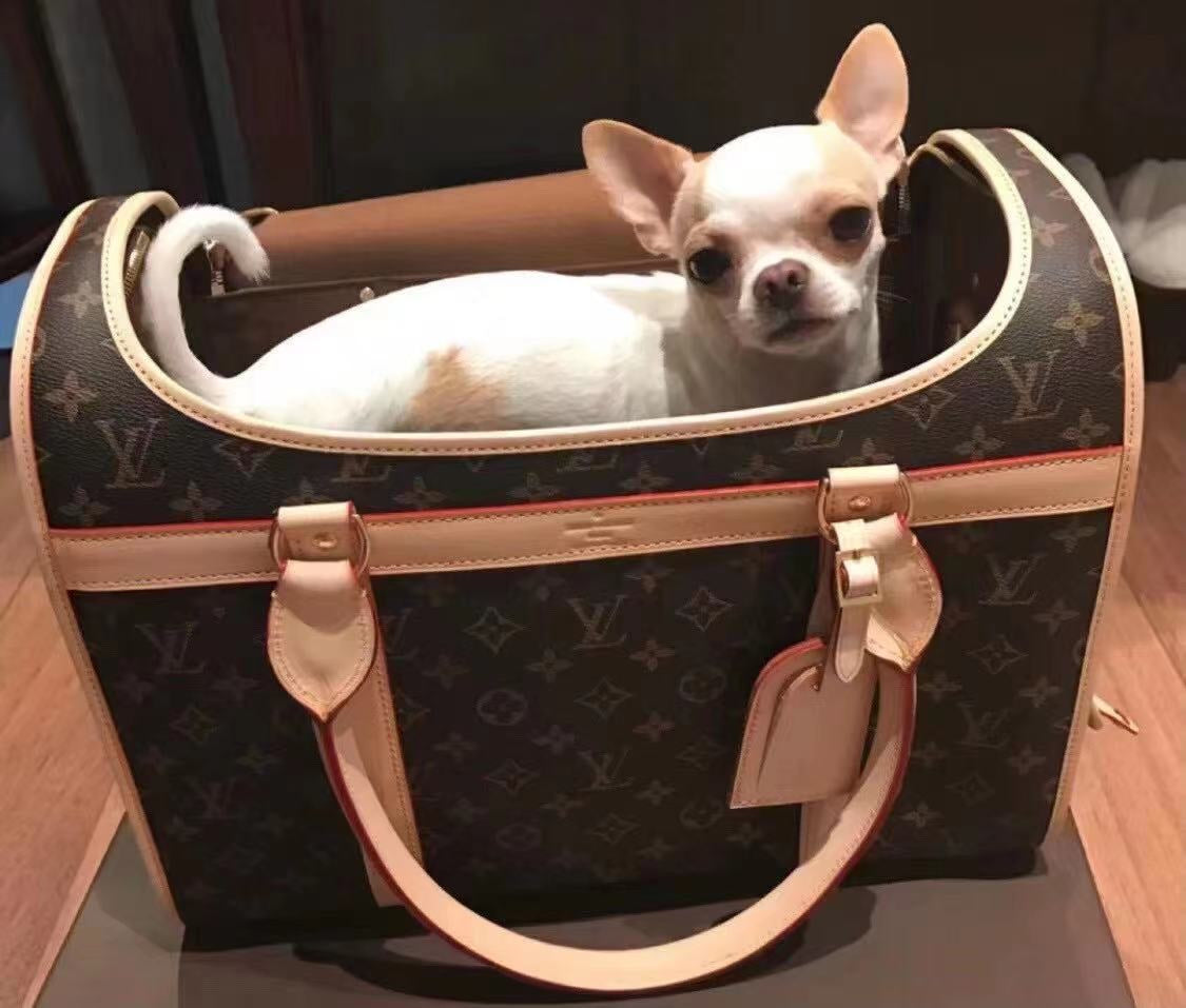 L Style Airline Approved Pet Carrier