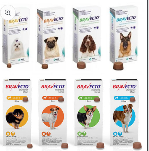 Bravecto Chews for Dogs Flea and Tick , Single 12-Week Dose