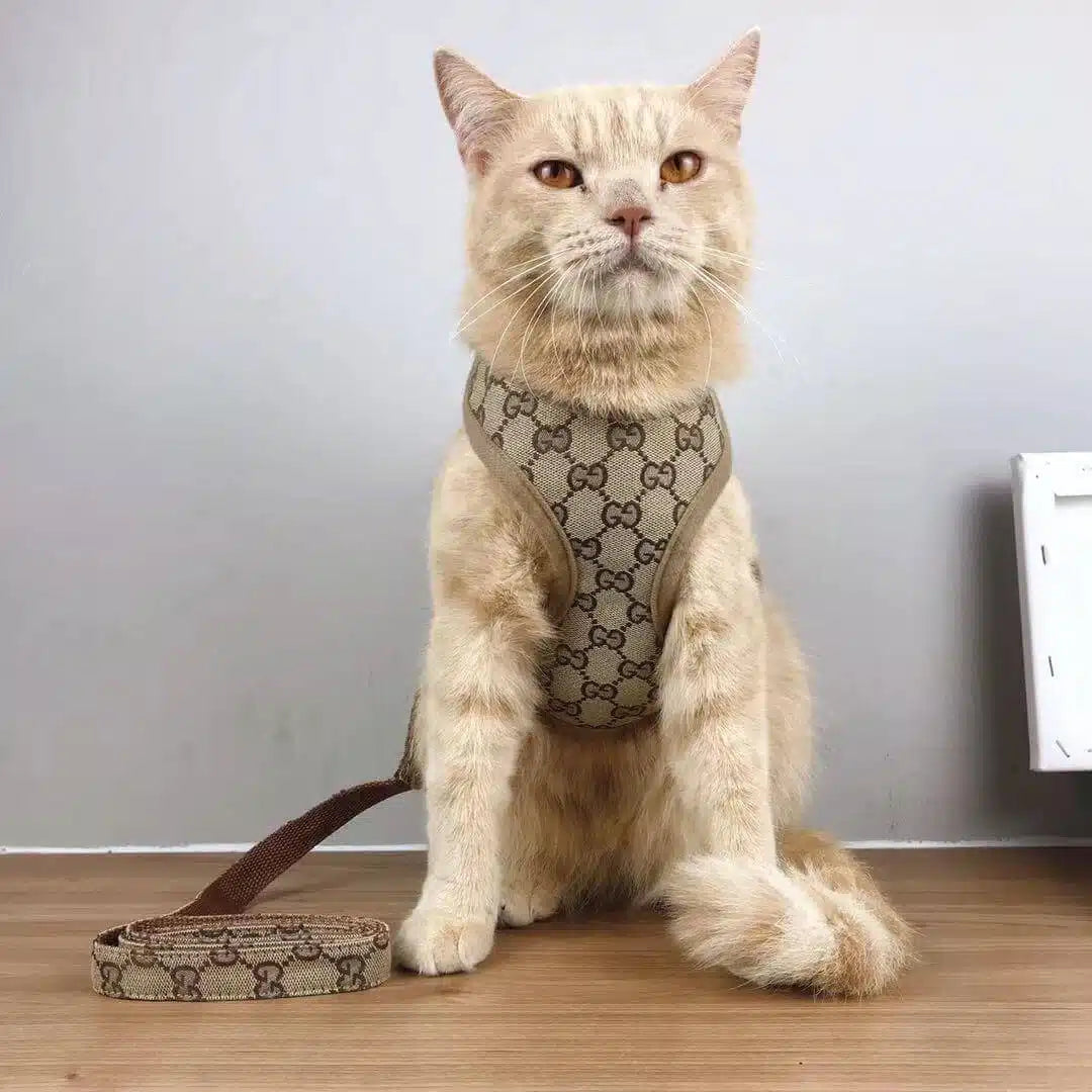 A+ Designer Cat  Dog Harness and Leash Set