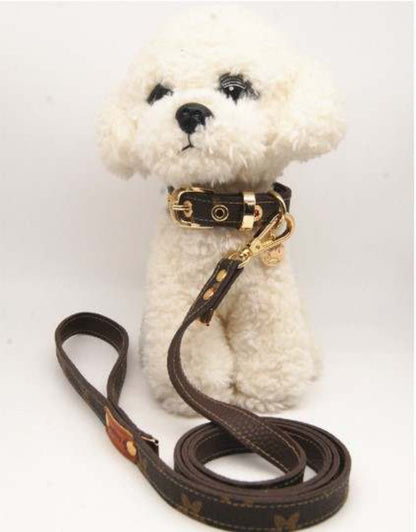 Designer Dog Cat Collar and Leash