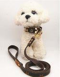 Designer Dog Cat Collar and Leash