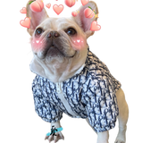 D Style Dog jacket