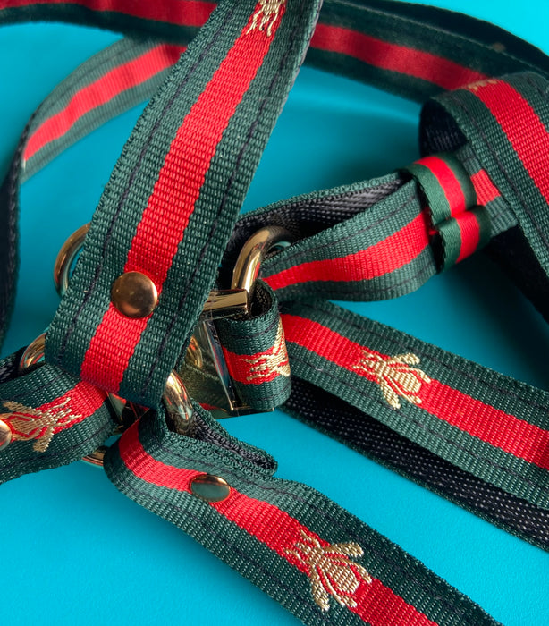 Red Green Designer  Gold Buckle Dog Harness and Leash Sets