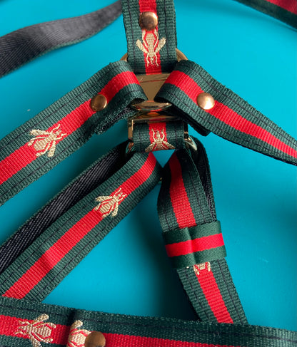 Red Green Designer  Gold Buckle Dog Harness and Leash Sets