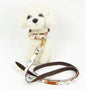 Designer Dog Cat Collar and Leash