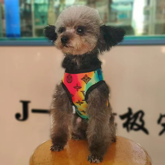 L Designer Harness and Leash