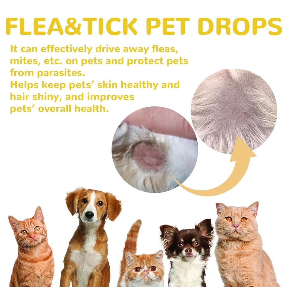 Cat Anti Flea Drops Flea Lice Remove Relieve
Skin Itching External Insect Repellent Deworming
Supplies Pet Tick Treatment Drops