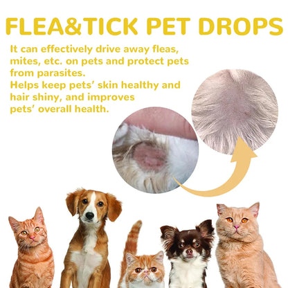 Cat Anti Flea Drops Flea Lice Remove Relieve
Skin Itching External Insect Repellent Deworming
Supplies Pet Tick Treatment Drops