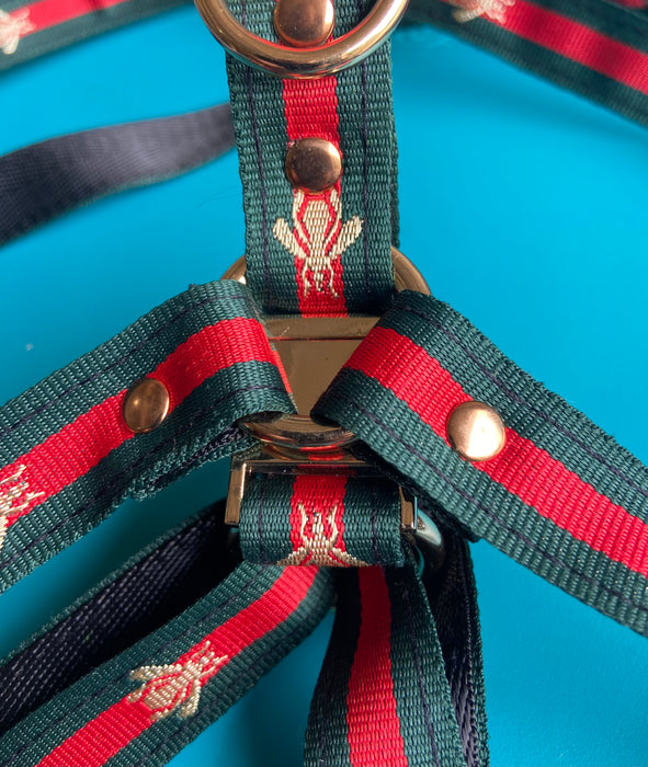 Red Green Designer  Gold Buckle Dog Harness and Leash Sets