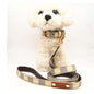 Designer Dog Cat Collar and Leash