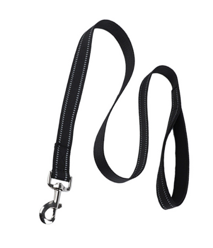 L Designer Harness and Leash