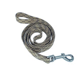 Guccy Dog Collar and Leash Set