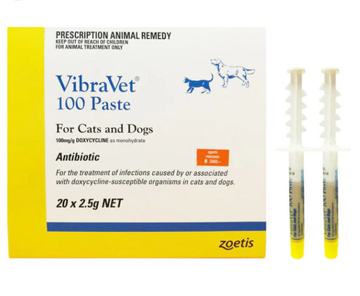 VibraVet 100 Paste For Cats and Dogs Chocolate Anti-inflammatory Cream