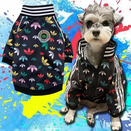 Pet Fashion Designer Clothes Harnesses Collars — Dogssuppliesrus