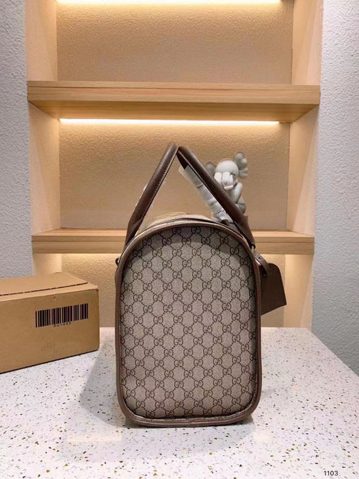 Gucci Pet Carrier Airline Approved