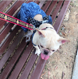 Dog Collar and Leash Set )