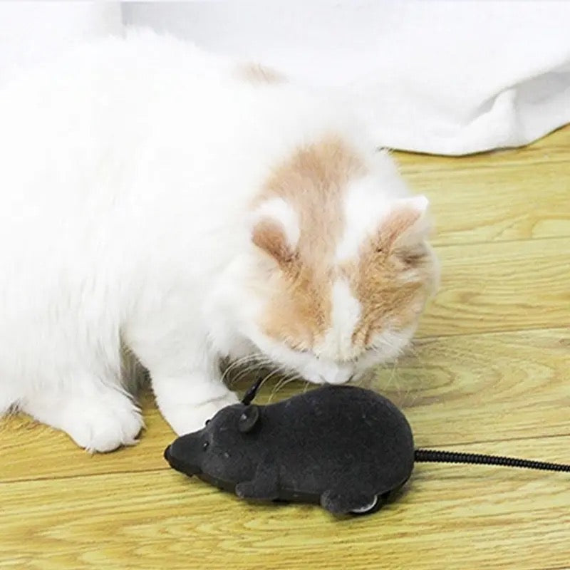 Rat Funny Cat Toy With Remote Control Multicolor Mouse Cute Wireless Controlled Toy Rat