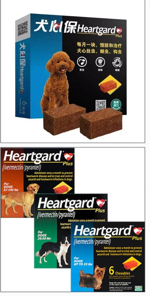 HEARTGARD Plus Soft Chew for Dogs