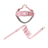 AirTag dog harness with leash