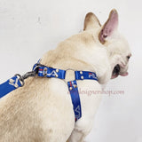 Blue sport strap dog harness detail