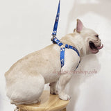 Blue sport strap dog harness detail