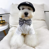 Grey monogram bow tie dog collar