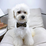 Brown geometric bow tie dog collar