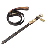 Brown monogram leather dog collar and leash set