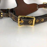Brown monogram leather dog harness and leash set