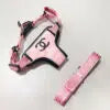 Pink Dog Cat Harness and Leash Set