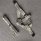 Designer monogram dog harness and leash
