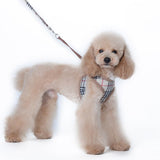 Designer pattern padded dog harness and leash set
