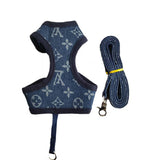 Designer pattern padded dog harness and leash set