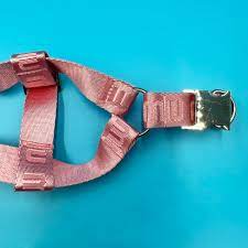 Miu Miu Designer Dog Cat Harness Collar and Leash Sets