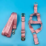 Miu Miu Designer Dog Cat Harness Collar and Leash Sets