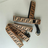 Geometric adjustable dog harness and leash set