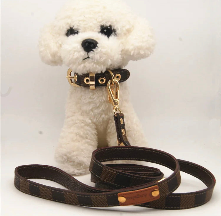 Designer Dog Cat Collar and Leash