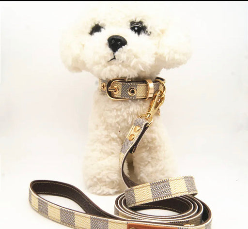 Dior Designer Dog Cat Collar and Leash — Dogssuppliesrus