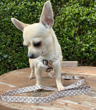 G Designer Dog Collar Leash Sets