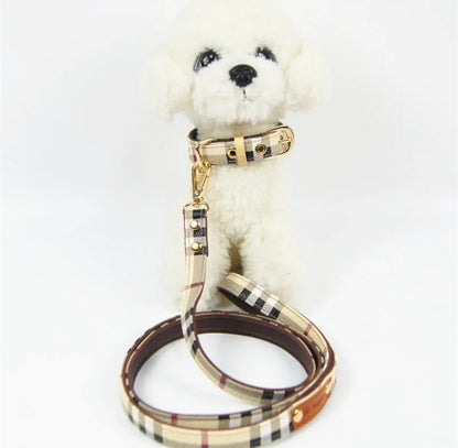 Designer Dog Collar and Leash