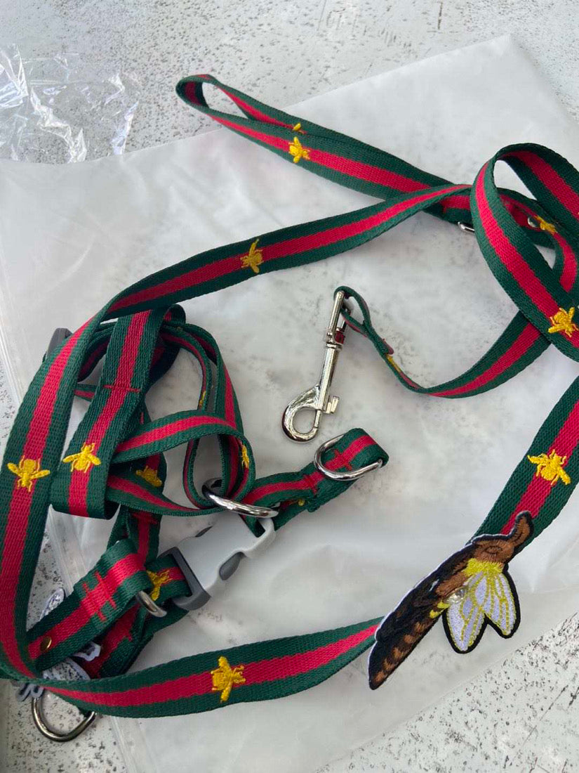 G Red Designer Dog Harness and Leash Sets