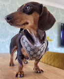 Designer Cat  Dog Harness and Leash Set