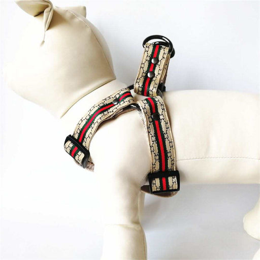 Gucci Style Designer Dog Harness and Leash Sets