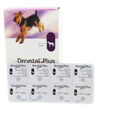 Drontal Plus Dog Dewormer Tapeworm