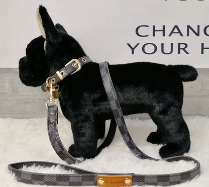 Designer Dog Collar and Leash